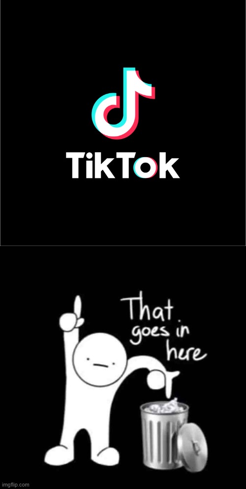 image tagged in that goes in here,tiktok sucks,memes | made w/ Imgflip meme maker