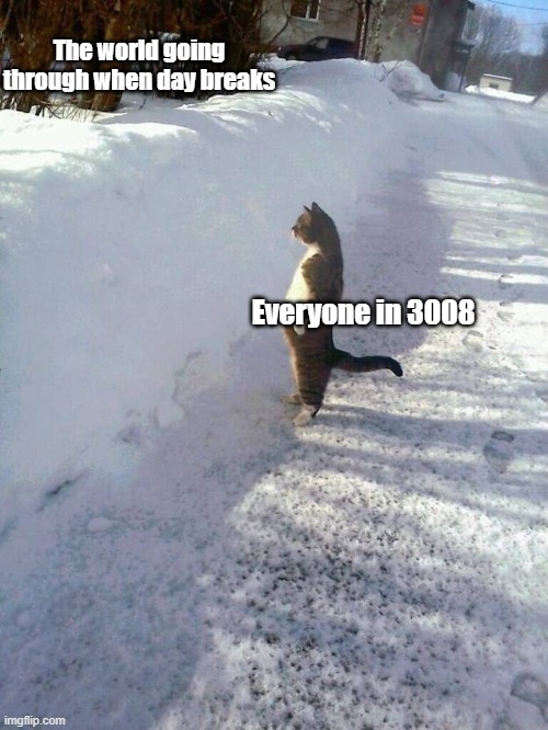 Cat Snow | The world going through when day breaks; Everyone in 3008 | image tagged in cat snow,scp meme,scp | made w/ Imgflip meme maker