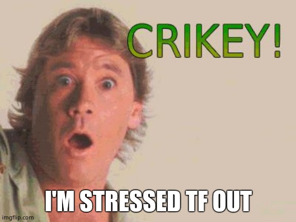 Crikey | I'M STRESSED TF OUT | image tagged in crikey | made w/ Imgflip meme maker