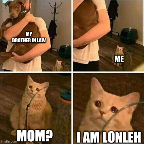Sad Cat Holding Dog | MY BROTHER IN LAW; ME; MOM? I AM LONLEH | image tagged in sad cat holding dog | made w/ Imgflip meme maker