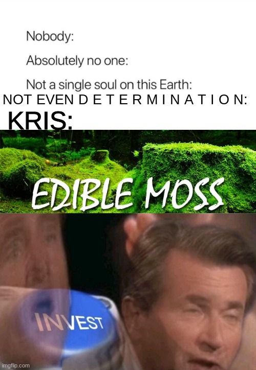 M O S S | KRIS:; NOT EVEN D E T E R M I N A T I O N: | image tagged in nobody absolutely no one | made w/ Imgflip meme maker