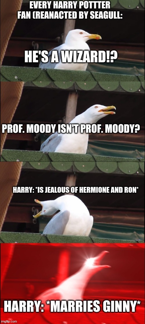 Only HP fans will get this. Is very true tho | image tagged in harry potter meme,inhaling seagull | made w/ Imgflip meme maker