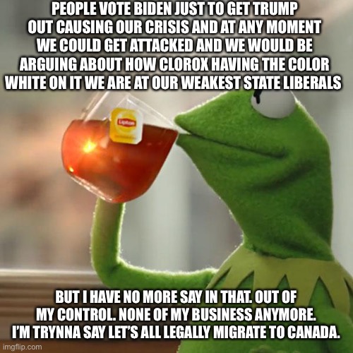 Canada our only way out | PEOPLE VOTE BIDEN JUST TO GET TRUMP OUT CAUSING OUR CRISIS AND AT ANY MOMENT WE COULD GET ATTACKED AND WE WOULD BE ARGUING ABOUT HOW CLOROX HAVING THE COLOR WHITE ON IT WE ARE AT OUR WEAKEST STATE LIBERALS; BUT I HAVE NO MORE SAY IN THAT. OUT OF MY CONTROL. NONE OF MY BUSINESS ANYMORE. I’M TRYNNA SAY LET’S ALL LEGALLY MIGRATE TO CANADA. | image tagged in memes,but that's none of my business,kermit the frog,biden,liberals,canada | made w/ Imgflip meme maker