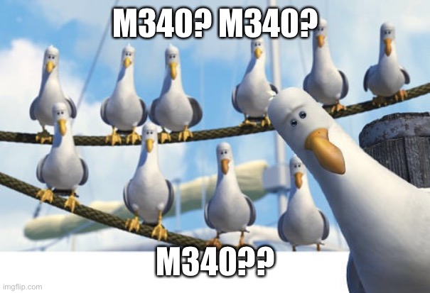 Finding Nemo Seagulls | M340? M340? M340?? | image tagged in finding nemo seagulls | made w/ Imgflip meme maker