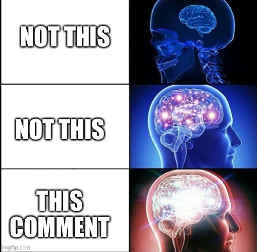 1000 IQ | NOT THIS NOT THIS THIS COMMENT | image tagged in 1000 iq | made w/ Imgflip meme maker
