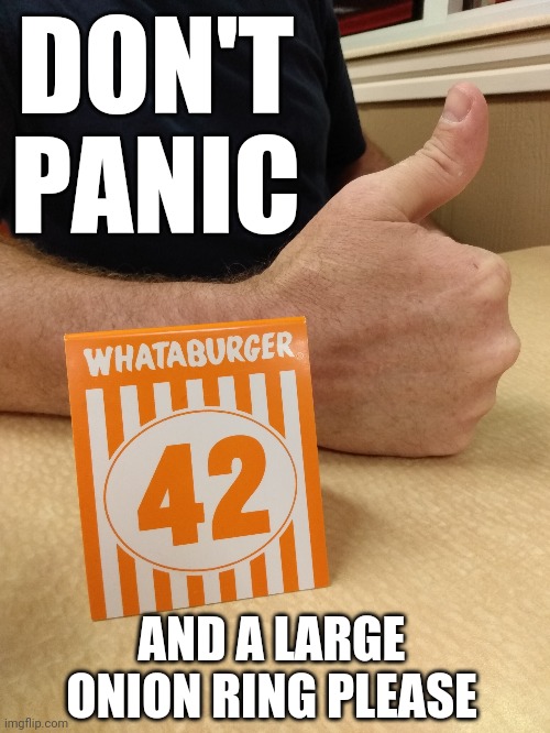 The answer to life, the universe, and everything |  DON'T PANIC; AND A LARGE ONION RING PLEASE | image tagged in hitchhiker's guide to the galaxy | made w/ Imgflip meme maker