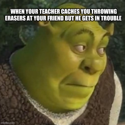 WHEN YOUR TEACHER CACHES YOU THROWING ERASERS AT YOUR FRIEND BUT HE GETS IN TROUBLE | image tagged in shrek | made w/ Imgflip meme maker