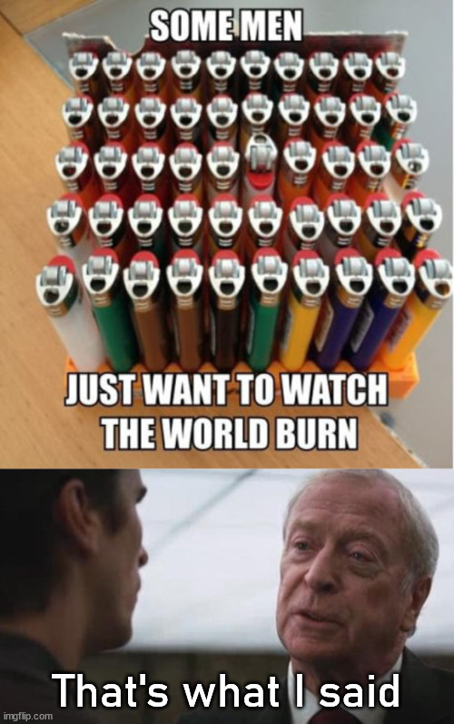 That's what I said | image tagged in some mean just want to watch the world burn alfred batman | made w/ Imgflip meme maker