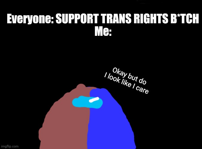 Not against them they can do what they want with their lives. Not tryna be rude | Everyone: SUPPORT TRANS RIGHTS B*TCH
Me:; Okay but do I look like I care | image tagged in blank black,ok,not tryna be rude | made w/ Imgflip meme maker