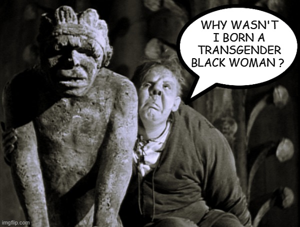 If Victor Hugo was writing the Hunchback of Notre Dame in 2021 America | WHY WASN'T I BORN A TRANSGENDER BLACK WOMAN ? | image tagged in liberals vs conservatives,democratic socialism,black lives matter,liberal agenda,modern problems,transgender | made w/ Imgflip meme maker