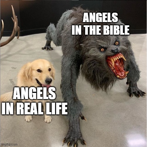 Dog vs wolf | ANGELS IN THE BIBLE; ANGELS IN REAL LIFE | image tagged in dog vs wolf,angels,bible | made w/ Imgflip meme maker