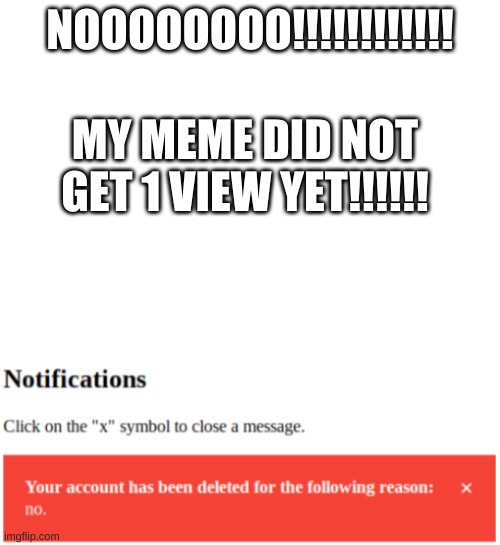 your account has been deleted because no | NOOOOOOOO!!!!!!!!!!!! MY MEME DID NOT GET 1 VIEW YET!!!!!! | image tagged in your account has been deleted because no | made w/ Imgflip meme maker