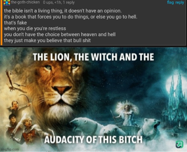 And I thought you were cool | image tagged in the lion the witch and the audacity of this bitch | made w/ Imgflip meme maker