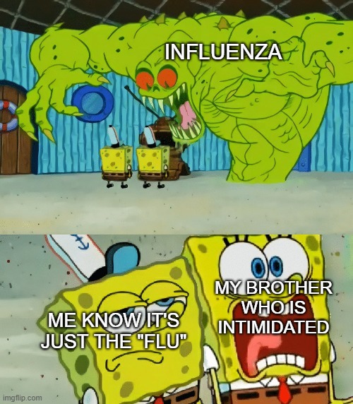 the same can be said about a lot of things | INFLUENZA; MY BROTHER WHO IS INTIMIDATED; ME KNOW IT'S JUST THE "FLU" | image tagged in memes,meme,fun | made w/ Imgflip meme maker