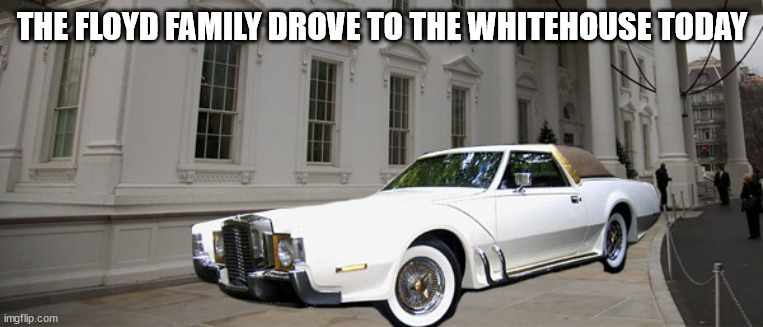 POS family | THE FLOYD FAMILY DROVE TO THE WHITEHOUSE TODAY | image tagged in george floyd | made w/ Imgflip meme maker