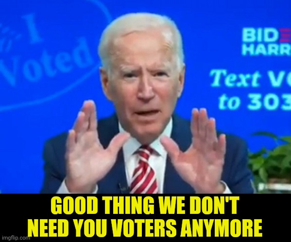 GOOD THING WE DON'T NEED YOU VOTERS ANYMORE | made w/ Imgflip meme maker