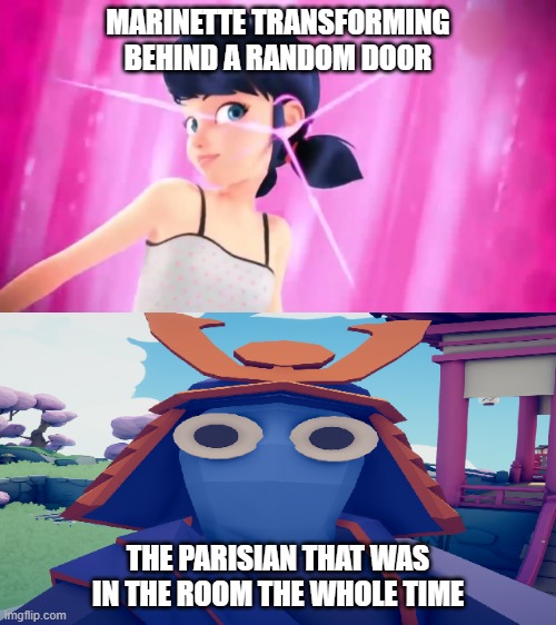 Marinette Transforming Behind a Random Door | MARINETTE TRANSFORMING BEHIND A RANDOM DOOR; THE PARISIAN THAT WAS IN THE ROOM THE WHOLE TIME | image tagged in miraculous ladybug | made w/ Imgflip meme maker