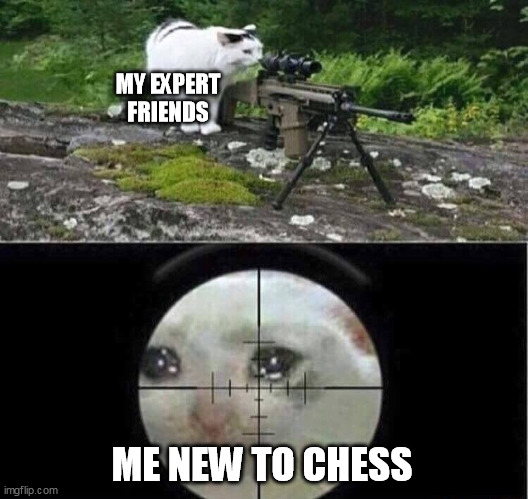 Chess is a difficult game... |  MY EXPERT FRIENDS; ME NEW TO CHESS | image tagged in sniper cat aim crying cat,chess,gaming,friends,friend | made w/ Imgflip meme maker