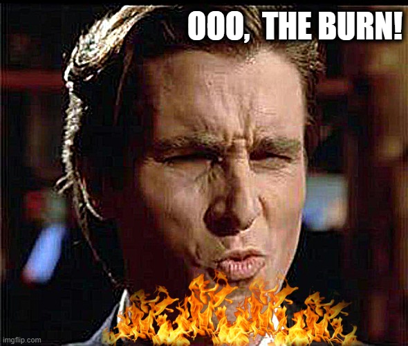 Christian Bale Ooh | OOO,  THE BURN! | image tagged in christian bale ooh | made w/ Imgflip meme maker