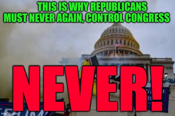 Insurrection | THIS IS WHY REPUBLICANS MUST NEVER AGAIN, CONTROL CONGRESS; NEVER! | image tagged in insurrection | made w/ Imgflip meme maker