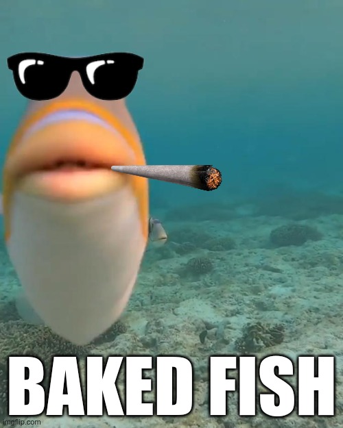 What's for dinner? | BAKED FISH | image tagged in staring fish | made w/ Imgflip meme maker