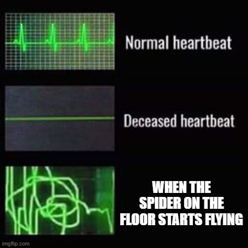 heartbeat rate | WHEN THE SPIDER ON THE FLOOR STARTS FLYING | image tagged in heartbeat rate | made w/ Imgflip meme maker