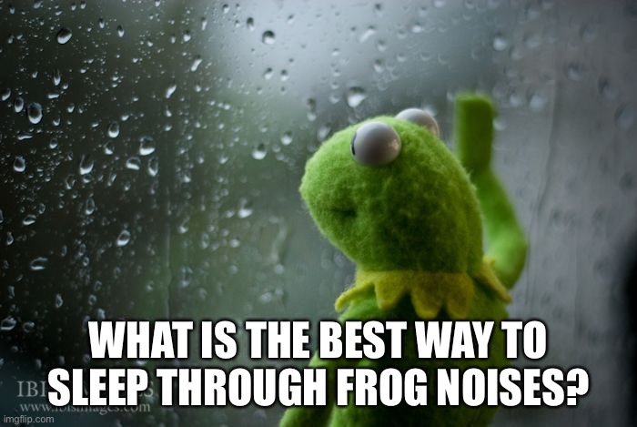 kermit window | WHAT IS THE BEST WAY TO SLEEP THROUGH FROG NOISES? | image tagged in kermit window | made w/ Imgflip meme maker