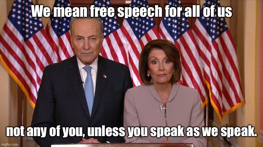 Chuck and Nancy | We mean free speech for all of us not any of you, unless you speak as we speak. | image tagged in chuck and nancy | made w/ Imgflip meme maker