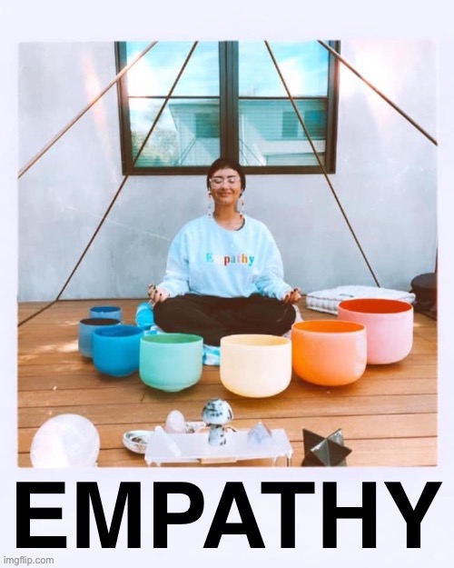 Those of us who talk politics need to remember to practice empathy. The lack of it is the ultimate source of political strife | image tagged in demi lovato empathy,empathy,politics,mental health,awareness,social media | made w/ Imgflip meme maker