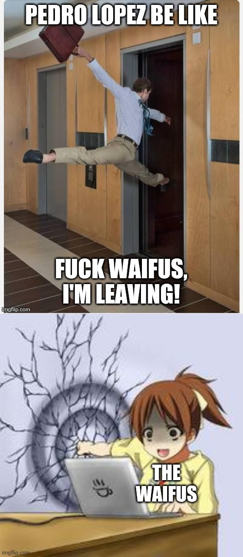 THE WAIFUS | image tagged in anime wall punch | made w/ Imgflip meme maker