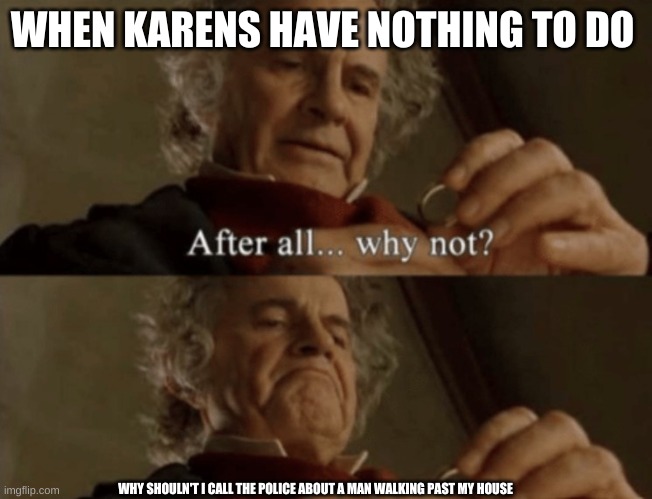 After all.. why not? | WHEN KARENS HAVE NOTHING TO DO; WHY SHOULN'T I CALL THE POLICE ABOUT A MAN WALKING PAST MY HOUSE | image tagged in after all why not | made w/ Imgflip meme maker