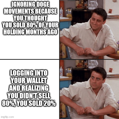 Joey Friends | IGNORING DOGE MOVEMENTS BECAUSE YOU THOUGHT YOU SOLD 80% OF YOUR HOLDING MONTHS AGO; LOGGING INTO YOUR WALLET AND REALIZING YOU DIDN'T SELL 80%, YOU SOLD 20% | image tagged in joey friends,crypto_betsAU | made w/ Imgflip meme maker