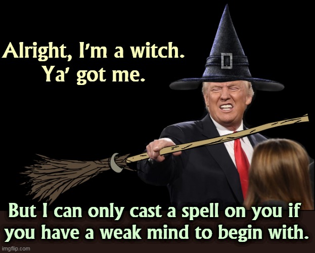 I'll get you, my pretty, and your little dog, too. | Alright, I'm a witch.
Ya' got me. But I can only cast a spell on you if 
you have a weak mind to begin with. | image tagged in trump,witch hunt | made w/ Imgflip meme maker