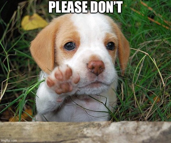 dog puppy bye | PLEASE DON’T | image tagged in dog puppy bye | made w/ Imgflip meme maker