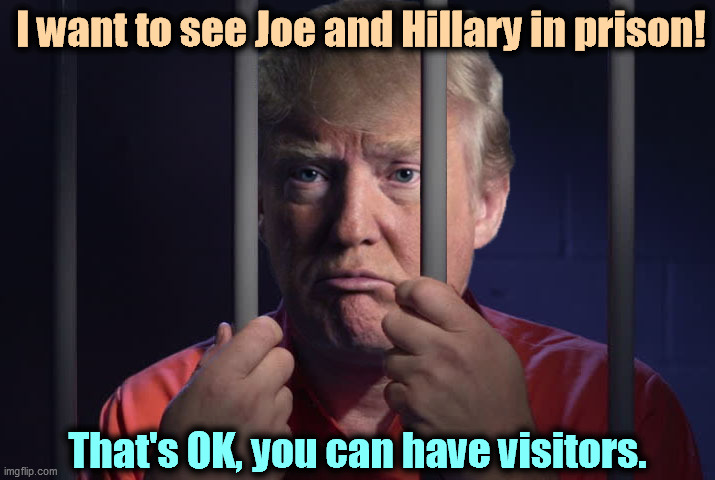 Once a crook, always a crook. | I want to see Joe and Hillary in prison! That's OK, you can have visitors. | image tagged in trump prison,trump,criminal,crook,prison,jail | made w/ Imgflip meme maker