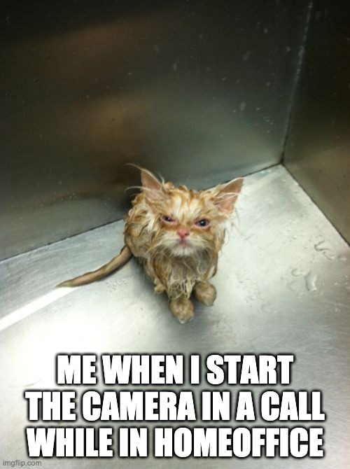 Kill You Cat | ME WHEN I START THE CAMERA IN A CALL WHILE IN HOMEOFFICE | image tagged in memes,killyoucat,homeoffice | made w/ Imgflip meme maker