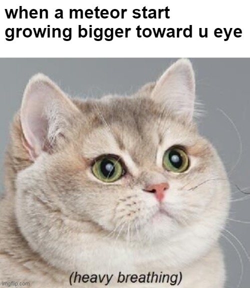 RUN | when a meteor start growing bigger toward u eye | image tagged in memes,heavy breathing cat | made w/ Imgflip meme maker