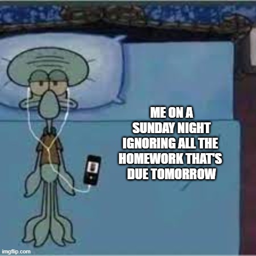 Sunday Nights | ME ON A SUNDAY NIGHT IGNORING ALL THE 
HOMEWORK THAT'S 
DUE TOMORROW | image tagged in imgflip | made w/ Imgflip meme maker