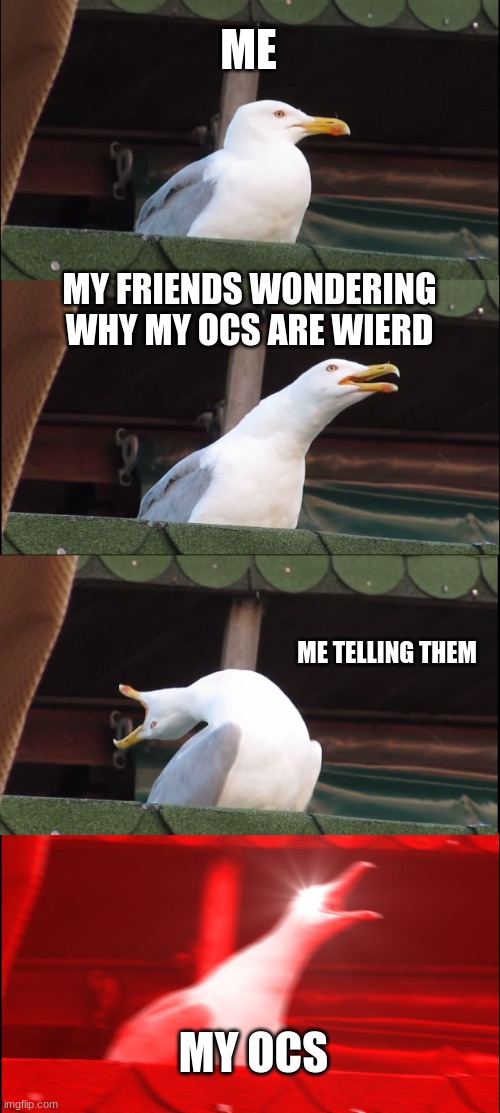 I don't know | ME; MY FRIENDS WONDERING WHY MY OCS ARE WIERD; ME TELLING THEM; MY OCS | image tagged in memes,inhaling seagull | made w/ Imgflip meme maker