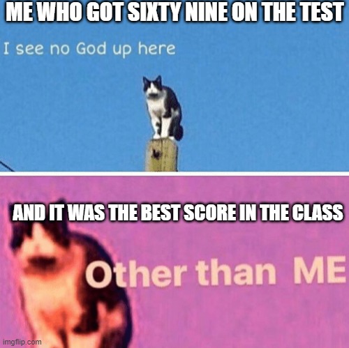 Hail pole cat | ME WHO GOT SIXTY NINE ON THE TEST; AND IT WAS THE BEST SCORE IN THE CLASS | image tagged in hail pole cat | made w/ Imgflip meme maker
