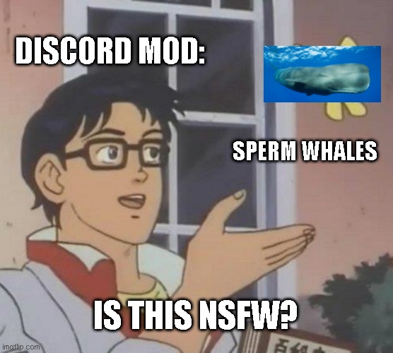 Huh. | DISCORD MOD:; SPERM WHALES; IS THIS NSFW? | image tagged in memes,is this a pigeon | made w/ Imgflip meme maker