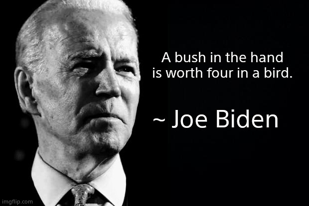 Confused sage Joe Biden | A bush in the hand is worth four in a bird. ~ Joe Biden | image tagged in confused sage joe biden | made w/ Imgflip meme maker