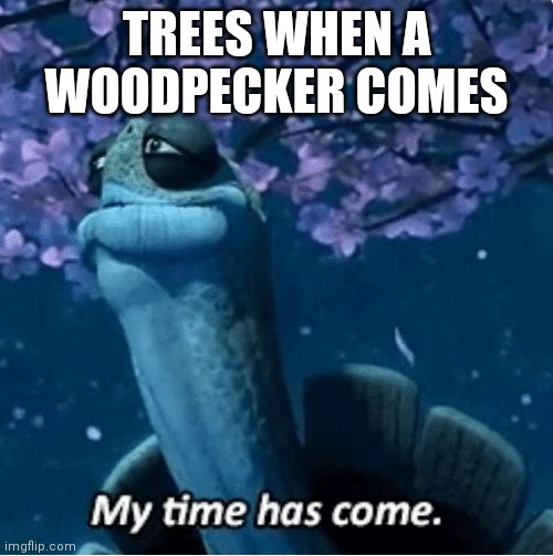 My Time Has Come | TREES WHEN A WOODPECKER COMES | image tagged in my time has come | made w/ Imgflip meme maker