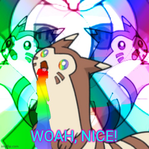 Furret on Acid | WOAH, NICE! | image tagged in furret on acid | made w/ Imgflip meme maker