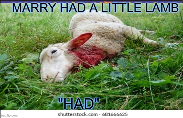 MARRY HAD A LITTLE LAMB; "HAD" | image tagged in oof | made w/ Imgflip meme maker