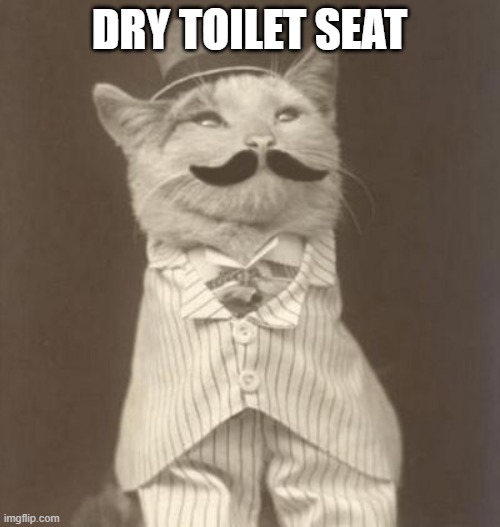 Moustache cat posh | DRY TOILET SEAT | image tagged in moustache cat posh | made w/ Imgflip meme maker