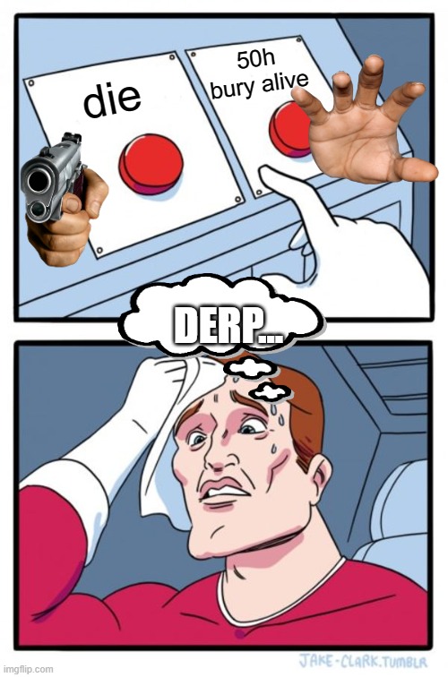 select your choice | 50h bury alive; die; DERP... | image tagged in memes,two buttons | made w/ Imgflip meme maker