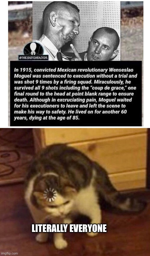 What? | LITERALLY EVERYONE | image tagged in thinking cat | made w/ Imgflip meme maker