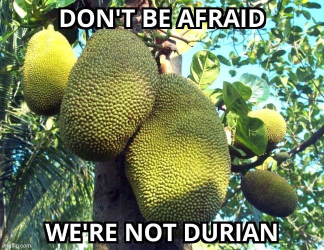 don't be afraid | image tagged in durian,jackfruit,afraid | made w/ Imgflip meme maker