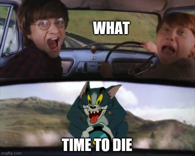 Tom chasing Harry and Ron Weasly | WHAT; TIME TO DIE | image tagged in tom chasing harry and ron weasly | made w/ Imgflip meme maker